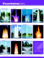 Vertex Fountain Types